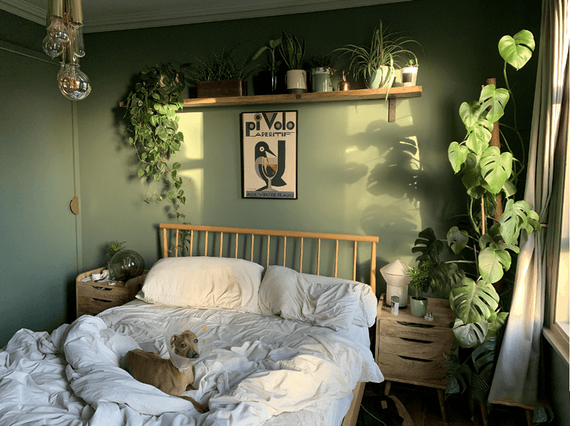 Tone xanh lá chủ đạo khiến phòng ngủ như đang hòa cùng thiên nhiên